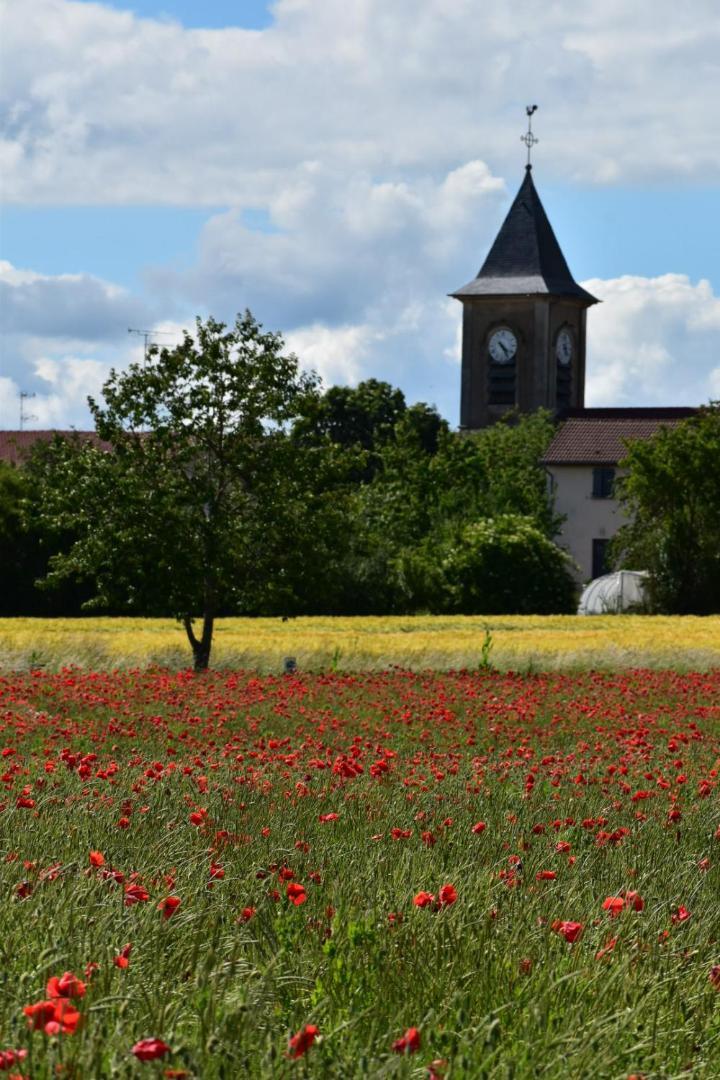 LachausseeBergerie Francique公寓 外观 照片